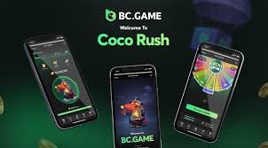 Exploring the Exciting World of BC.Game DK Casino